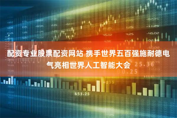 配资专业股票配资网站 携手世界五百强施耐德电气亮相世界人工智能大会